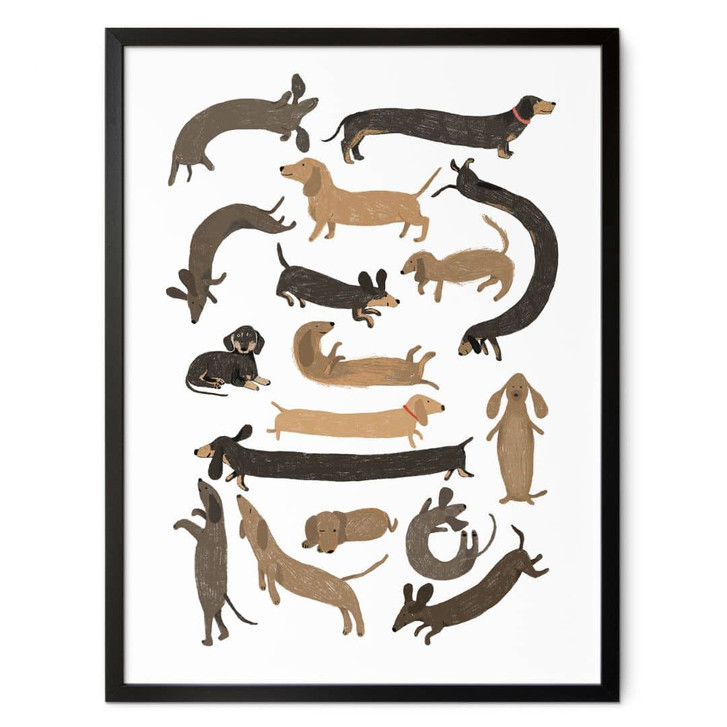 Poster Verspielte Dackel - Hunde Illustration - Melin - WA497890
