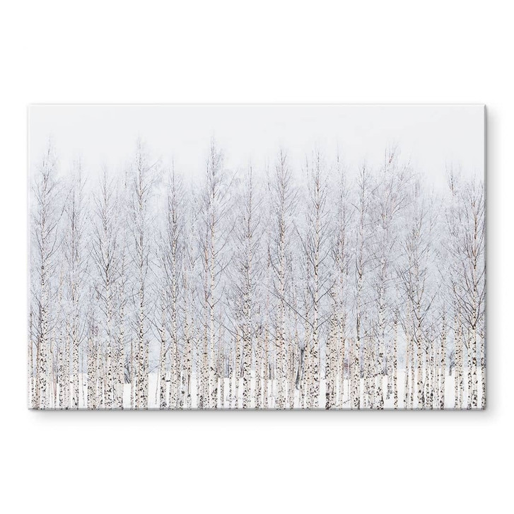 Acrylglasbild Birkenwald im Winter - EMELIEmaria - WA490816