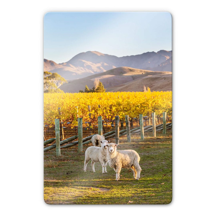 Glasbild Colombo - Sonnenuntergang in den Bergen - WA271597