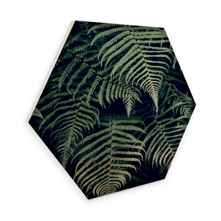 Hexagon - Holz Birke-Furnier - Farn 02 - WA253182