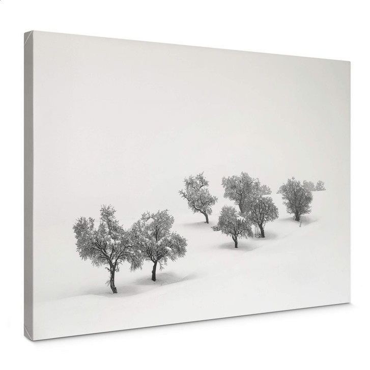 Leinwandbild Carrillo Lopez - Weisse Landschaft mit Bäumen - WA360298