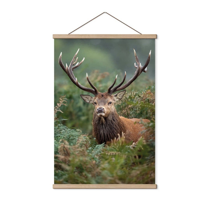 Stoffbild Rothirsch - Wächter des Waldes - van Duijn - WA474334