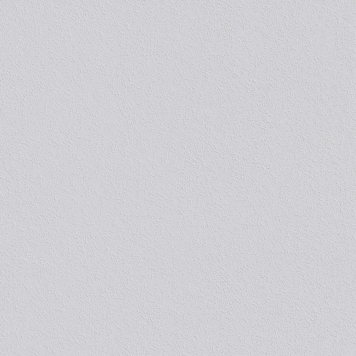 Erfurt Vlies-Rauhfaser Tapete Romantic weiss - WA302049