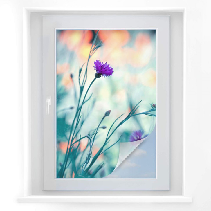 Sichtschutzfolie Bravin - Luminous purple - WA174202