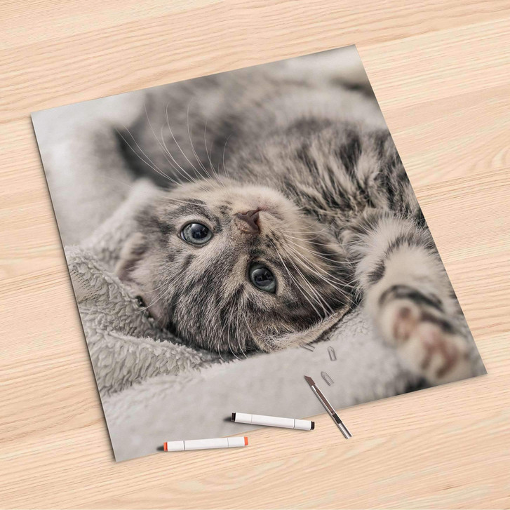 Folienbogen (60x60cm) - Kitty the Cat - CR107116