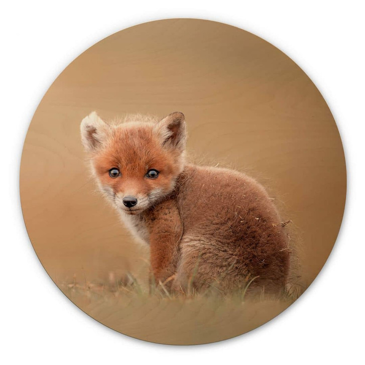 Holzbild van Duijn - Baby Fuchs - Rund - WA321258