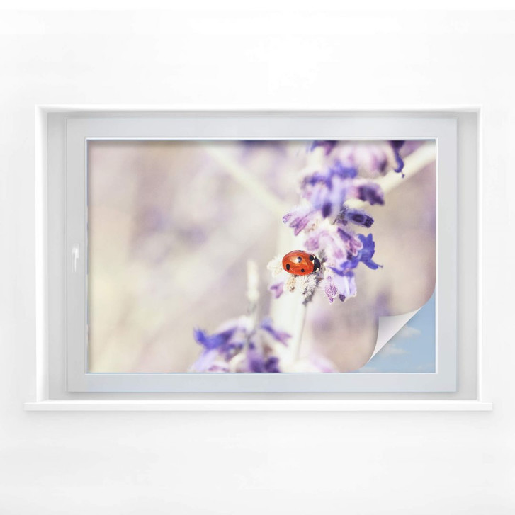 Sichtschutzfolie Little Friend - WA175713