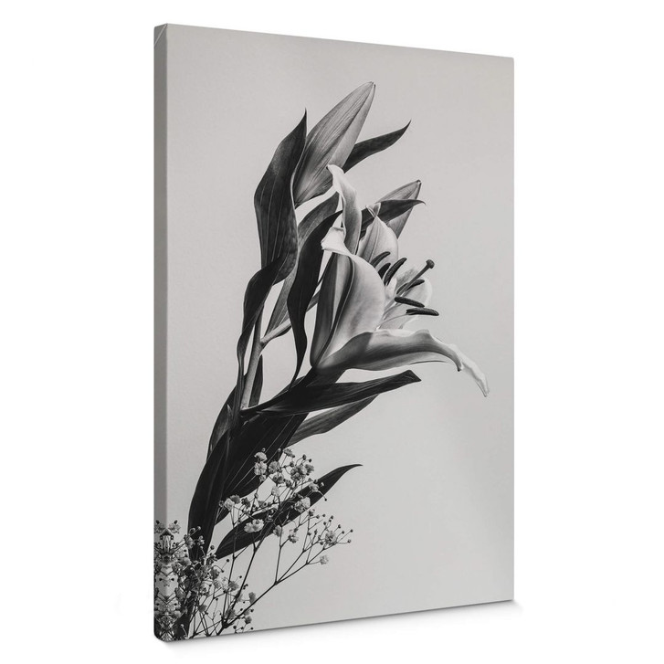Leinwandbild Jo - Zauberhafter Lilie schwarz-weiss - WA366192