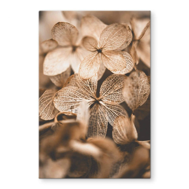 Glasbild Annie - Zarte Blüten - WA315194