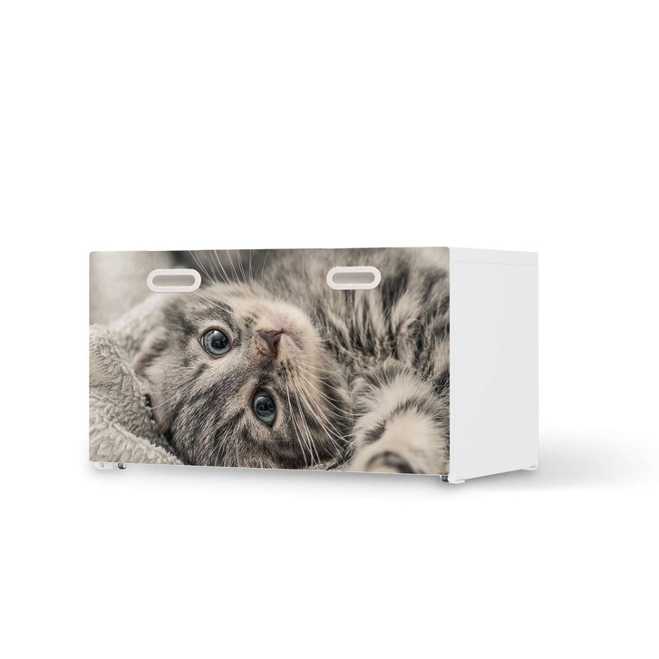 Möbelfolie IKEA Stuva / Fritids Bank mit Kasten - Kitty the Cat - CR117720