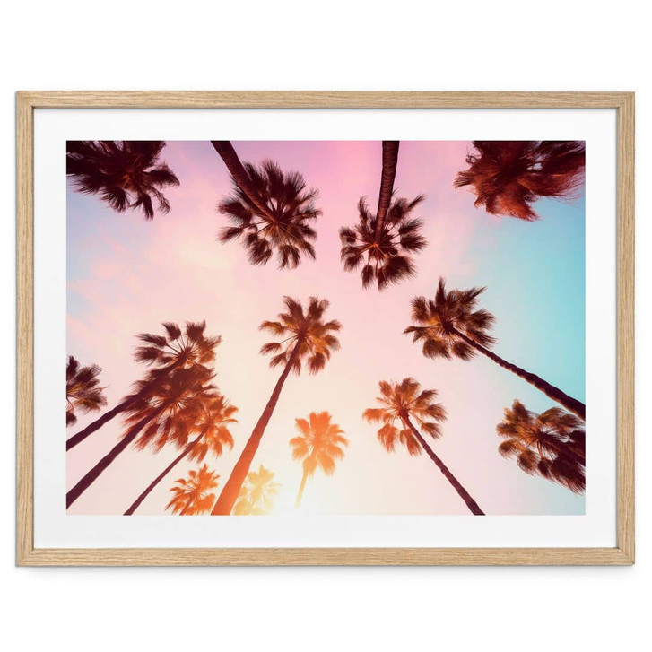 Natur Poster California Dreaming mit Palmen-Blick - Hugonnard - WA473637