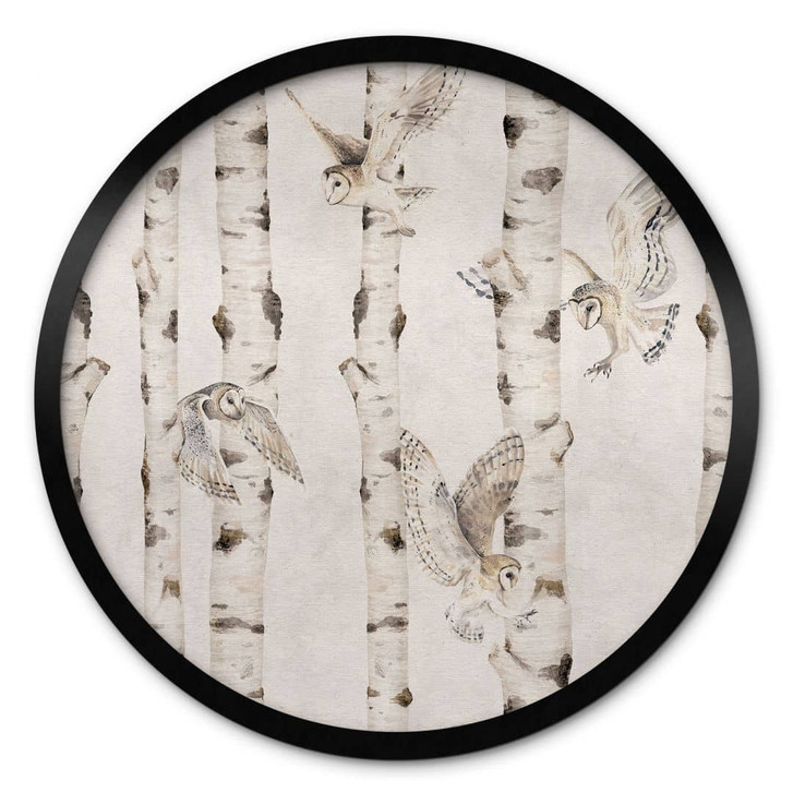 Poster Eulen im Birkenwald - Kikki Belle - Rund - WA433427