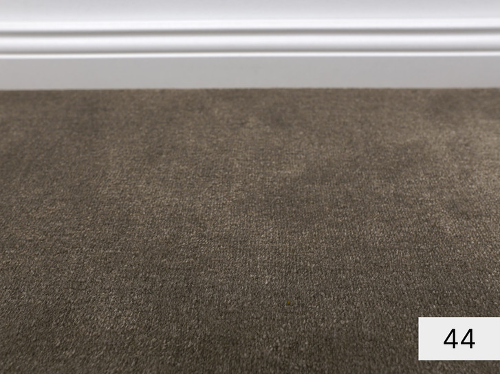 Sentiment Velours Teppichboden Meterware in 44 - TS504010