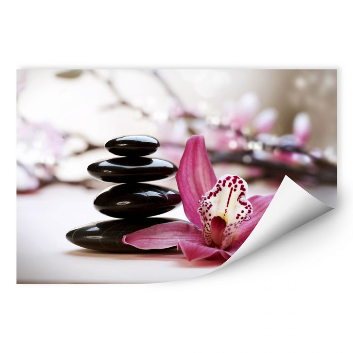 Wallprint Orchidee - WA187814