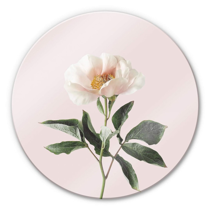 Glasbild Sisi & Seb - Zart - Rund - WA295290