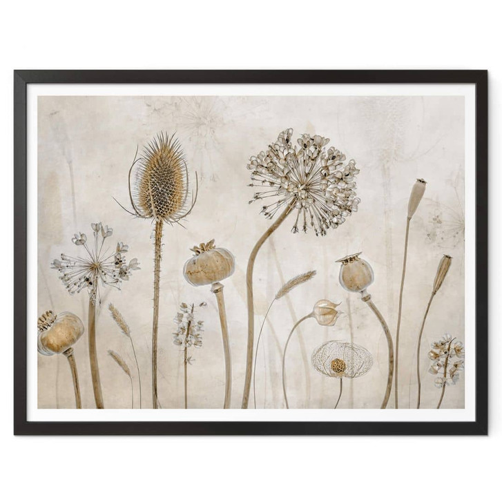 Poster Disher - Trockenblumen - WA348761