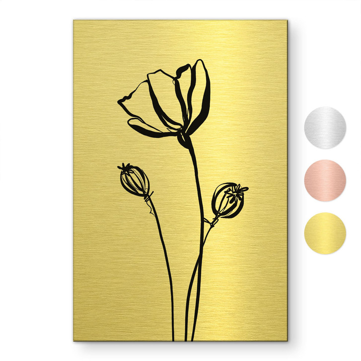 Alu-Dibond gebürstet mit Goldeffekt - Line Art Mohnblume - Cats & Dotz - WA514061