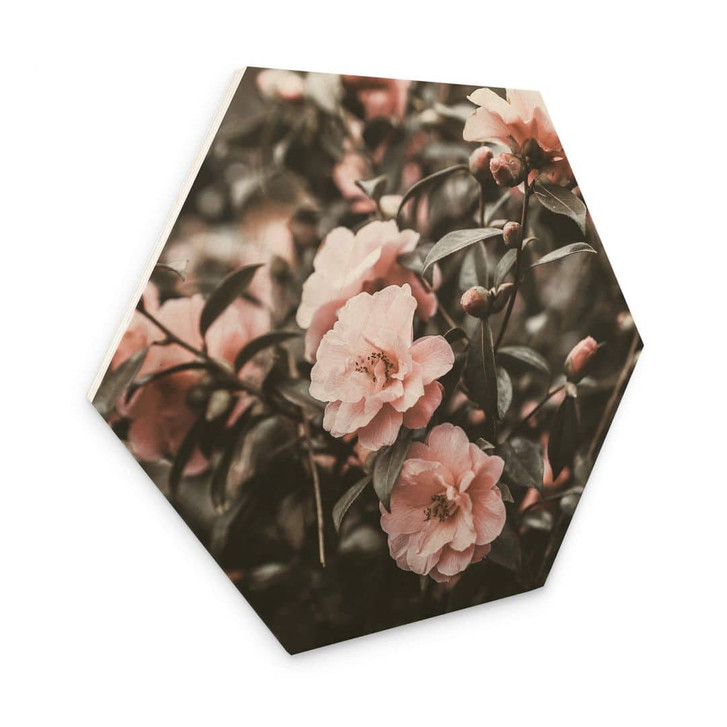 Hexagon - Holz Annie - Rosenstrauch - WA320912