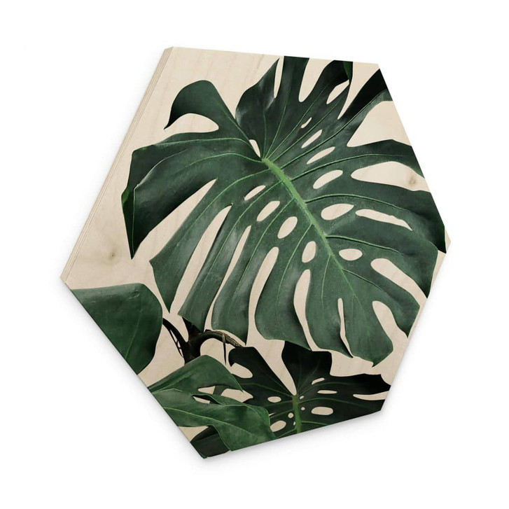 Hexagon - Holz Sisi & Seb - Monstera - WA321005