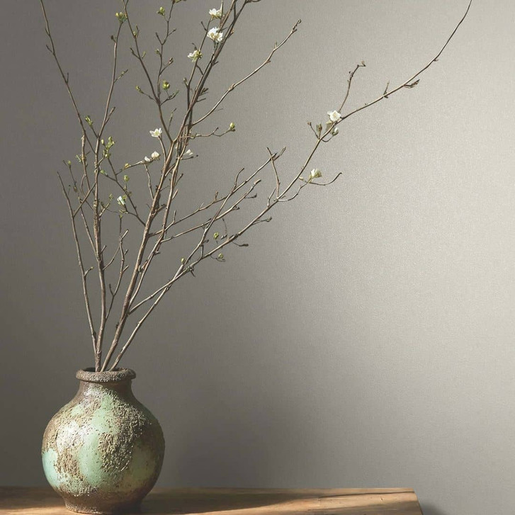 Vliestapete Uni, Struktur Uni Modern matt in Beige - WA483102