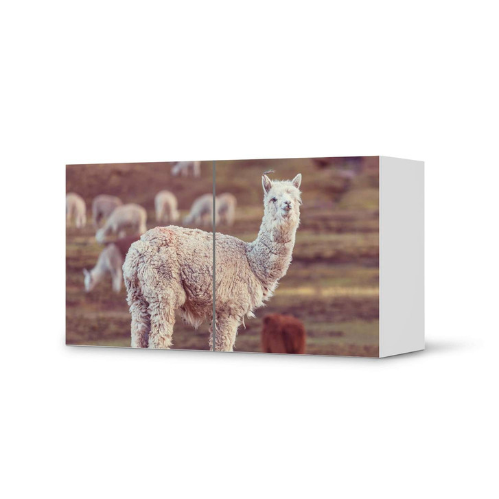 Folie IKEA Besta Regal 2 Türen (quer) - Pako - CR105378