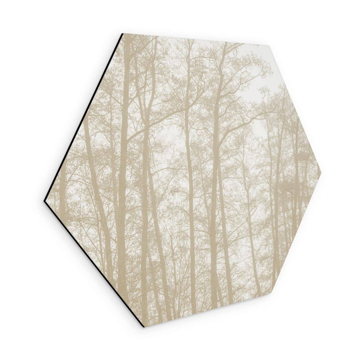 Hexagon Wandbild Stiller Winterwald - Böhmer - Alu-Dibond - WA491508