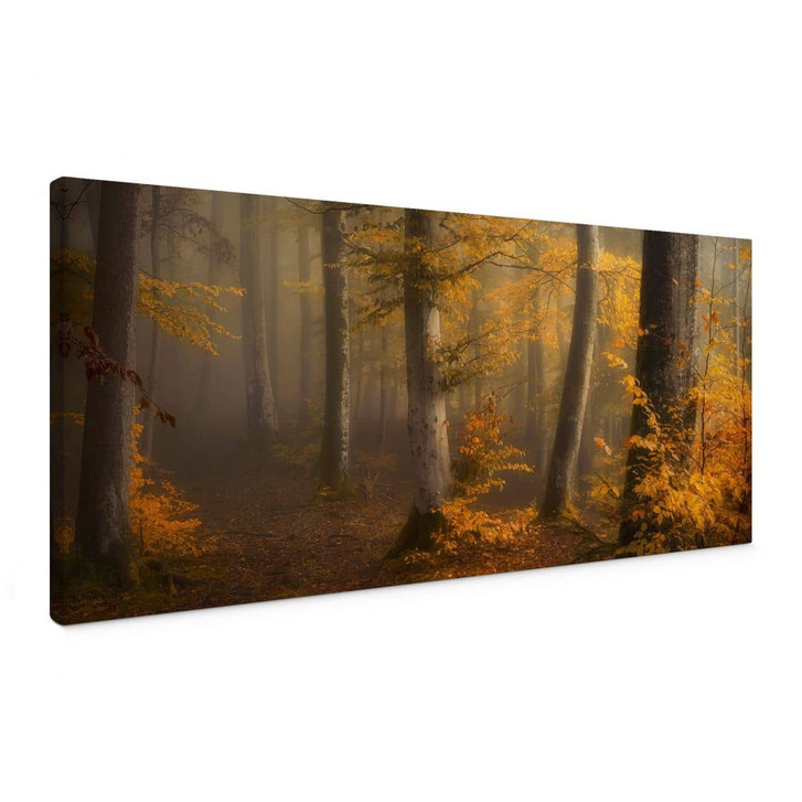 Leinwandbild Goldene Blätter im nebligen Wald - Maier - Panorama - WA444015