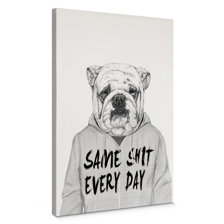 Leinwandbild Solti - Genervte Bulldogge - WA310723