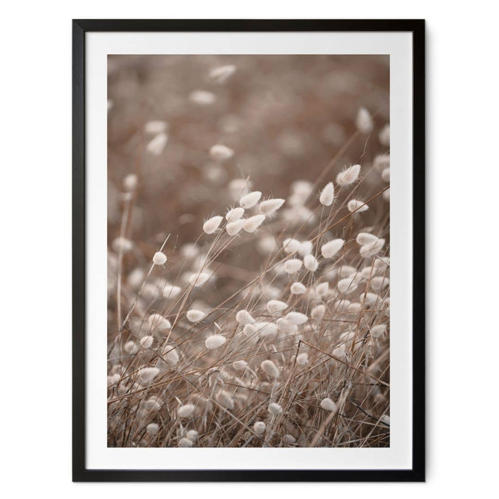 Poster Zarte Gräser im Herbstlicht - Collins - WA427468