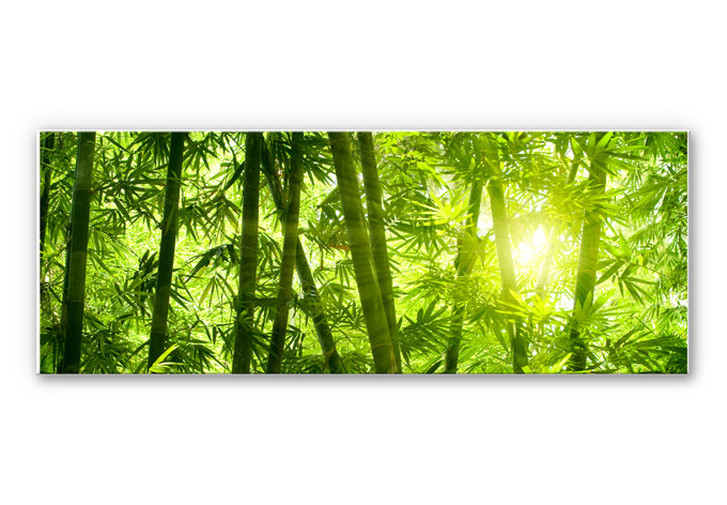 Wandbild Sonnenschein im Bambuswald - Panorama - WA195592