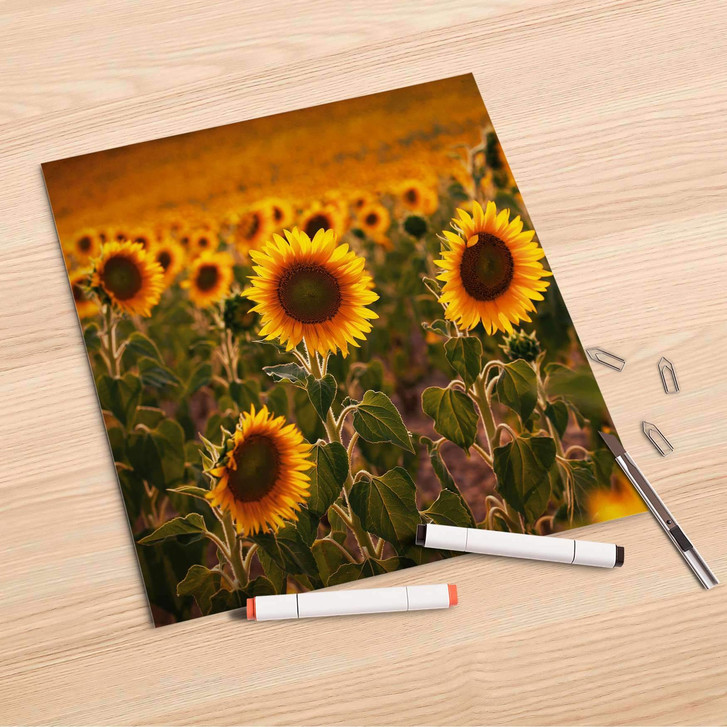 Folienbogen (30x30cm) - Sunflowers - CR106952
