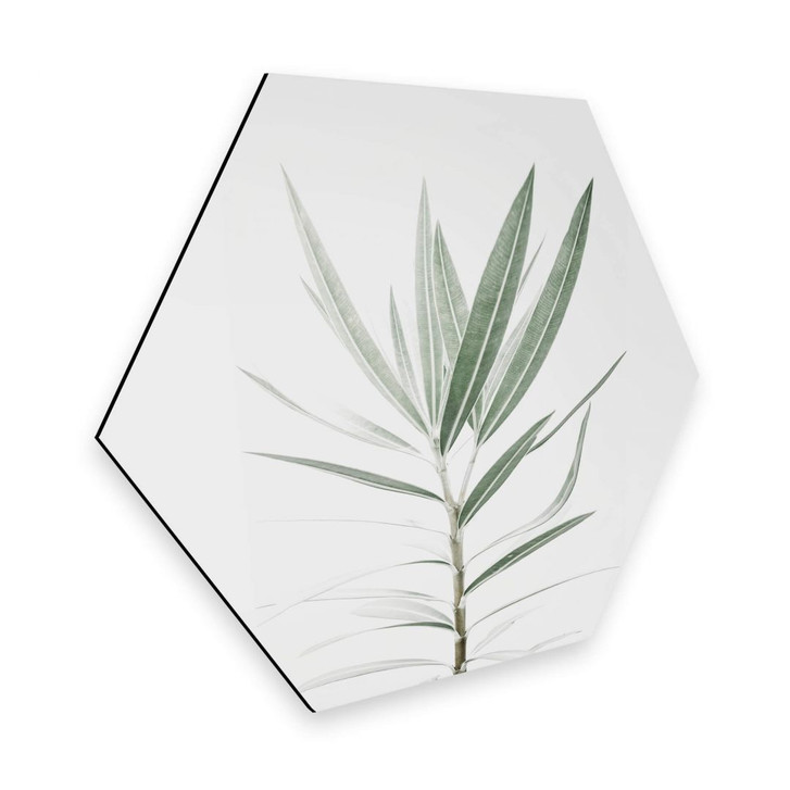 Hexagon - Alu-Dibond Sisi & Seb - Oleander - WA297674