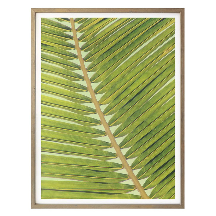 Poster Palmen 04 - WA165471