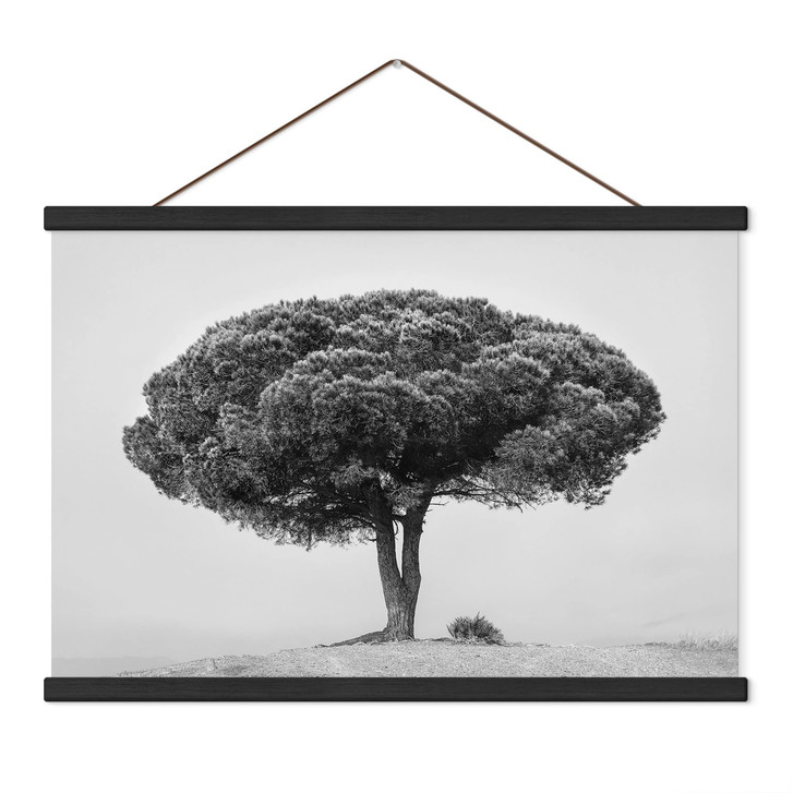 Stoffbild Baum in Schwarz Weiss - Martin - WA515545
