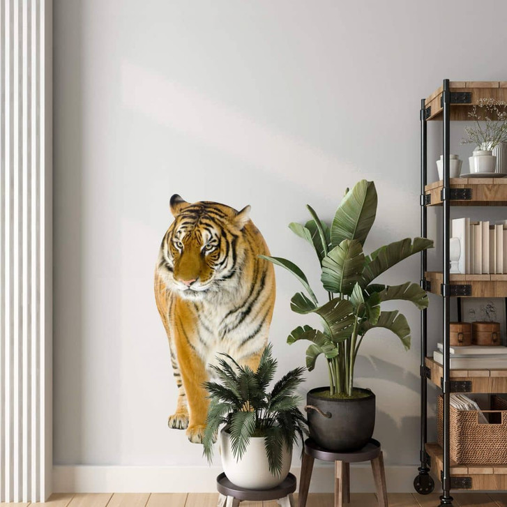 Wandsticker Real Tiger - WA202151