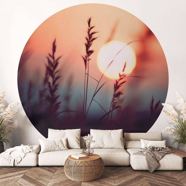 Fototapete Gräser im Licht der glühenden Sonne - Treechild - Rund - Selbstklebend/Vlies - WA471289