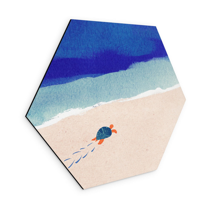 Hexagon Wandbild Kleine Schildkröte am Meer - Rivers - Alu-Dibond - WA518664
