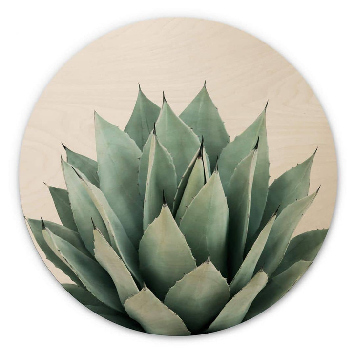 Holzbild Sisi & Seb - Sukkulente - Rund - WA321234