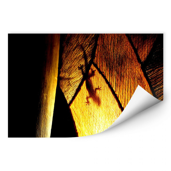 Wallprint Schattenspiel - WA188606