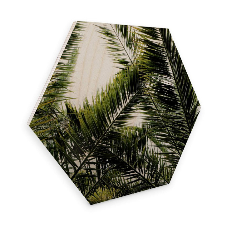 Hexagon - Holz Birke-Furnier - Dattelpalme - WA253153