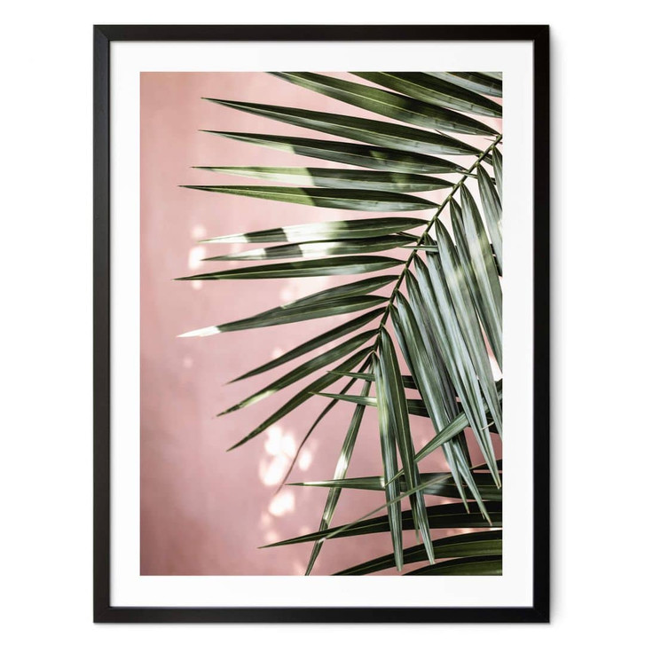 Poster Palmenblatt vor rosa Wand - Böhmer - WA406702