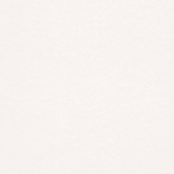 Rasch Vliestapete Makulaturvlies Brick Lane weiss - WA397341