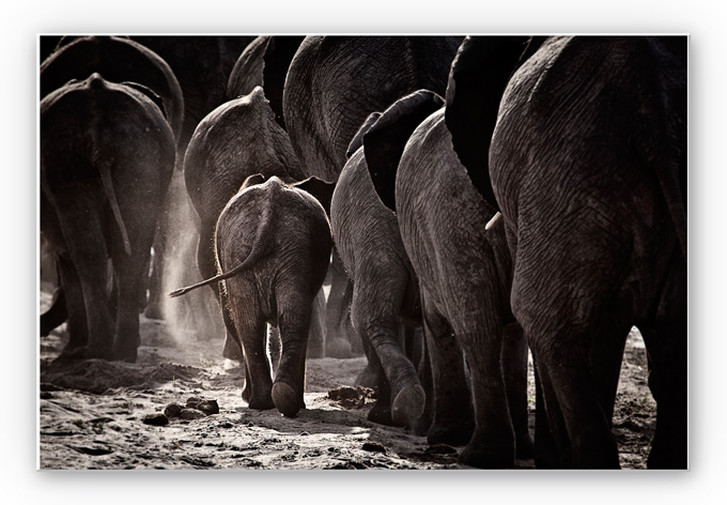 Hartschaumbild McRae - Walking Home - WA232910