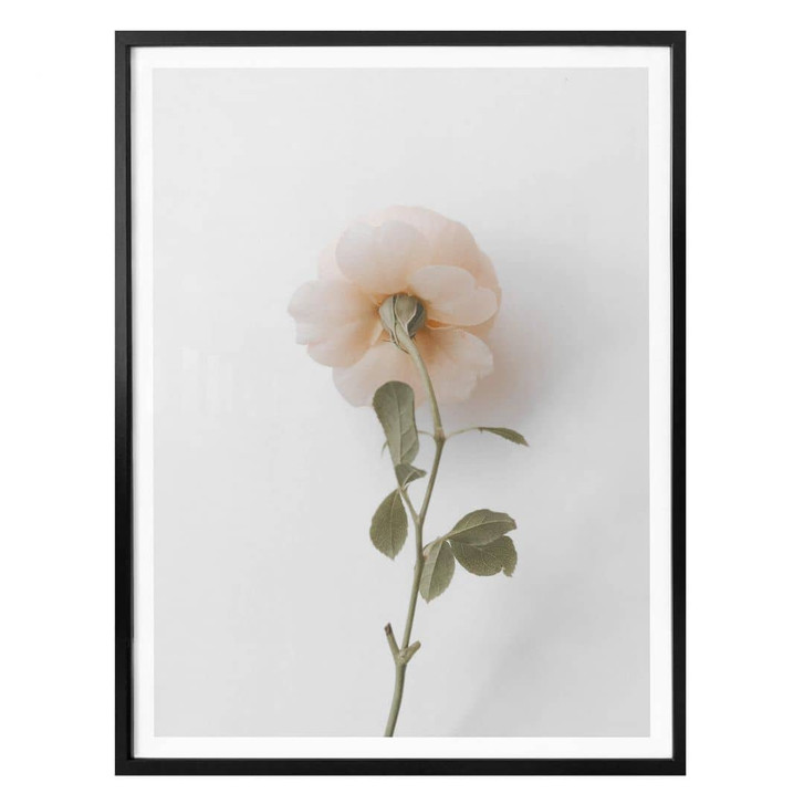 Poster Annie - Die Rose - WA322595