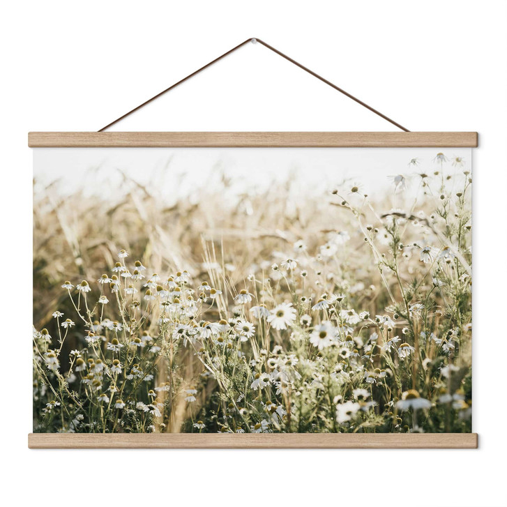 Stoffbild Sommerwiese mit Kamille - Annie - WA515453