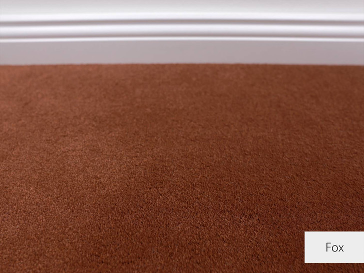 Emily Velours Teppichboden | Meterware | Fox - TS452557