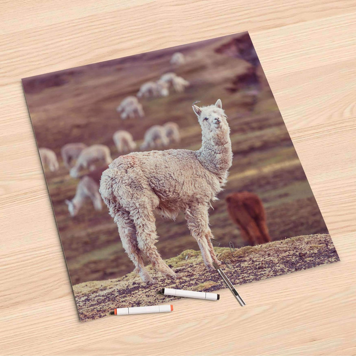 Folienbogen (60x60cm) - Pako - CR107149
