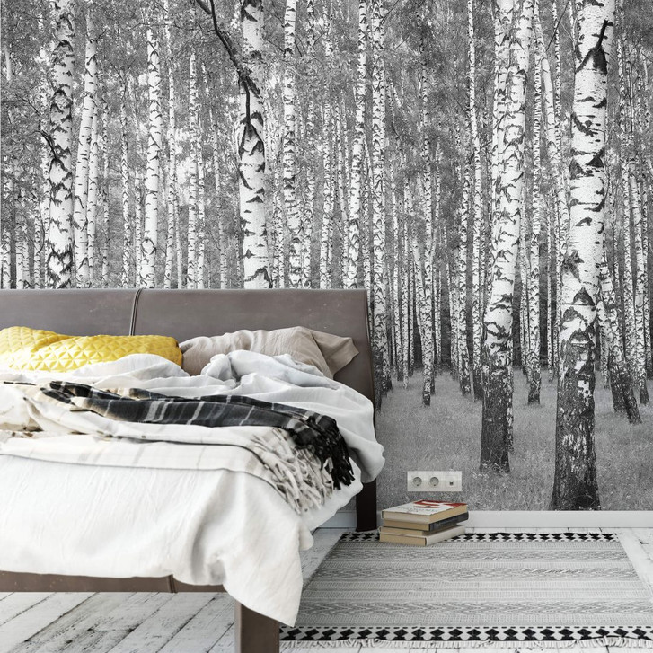 Fototapete Birkenwald 02 - WA226008