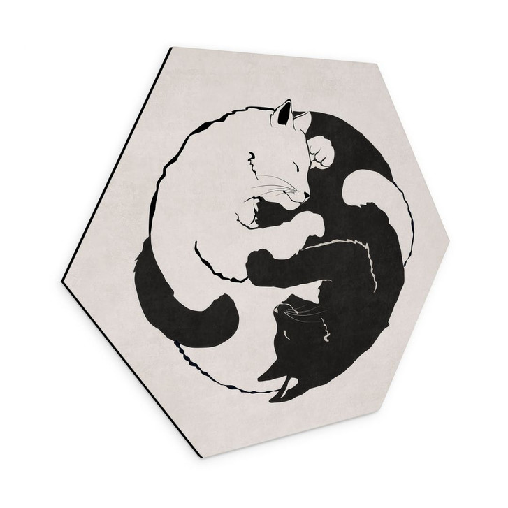 Hexagon Wandbild Katzen Ying & Yang - Tunaboylu - Alu-Dibond - WA421911