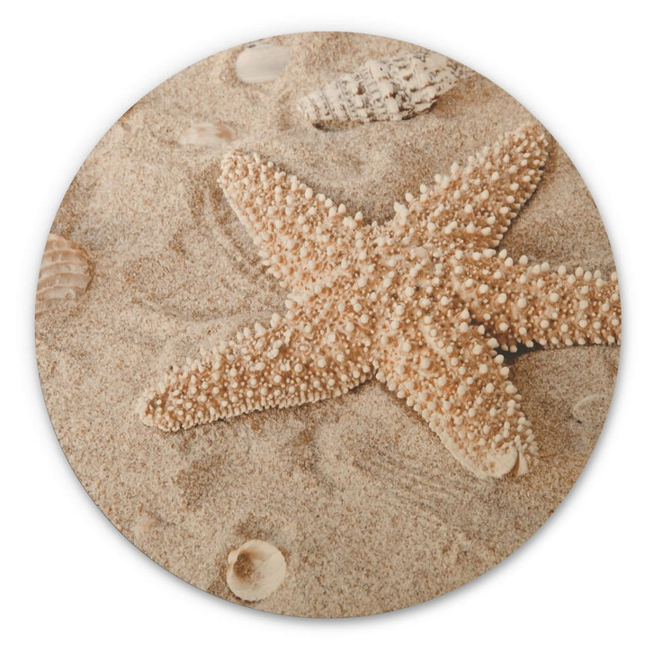 Holzbild Sternfisch im goldenen Strand - Rund - WA355623